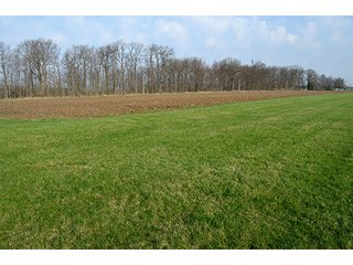 Property photo 39 - 77 +/- Acres Offered in 6 Tracts - Premier Estate Auction